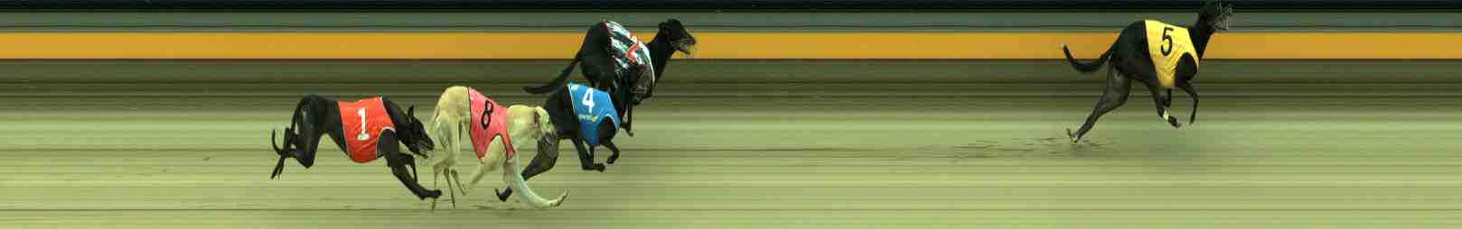 Race result finish photo